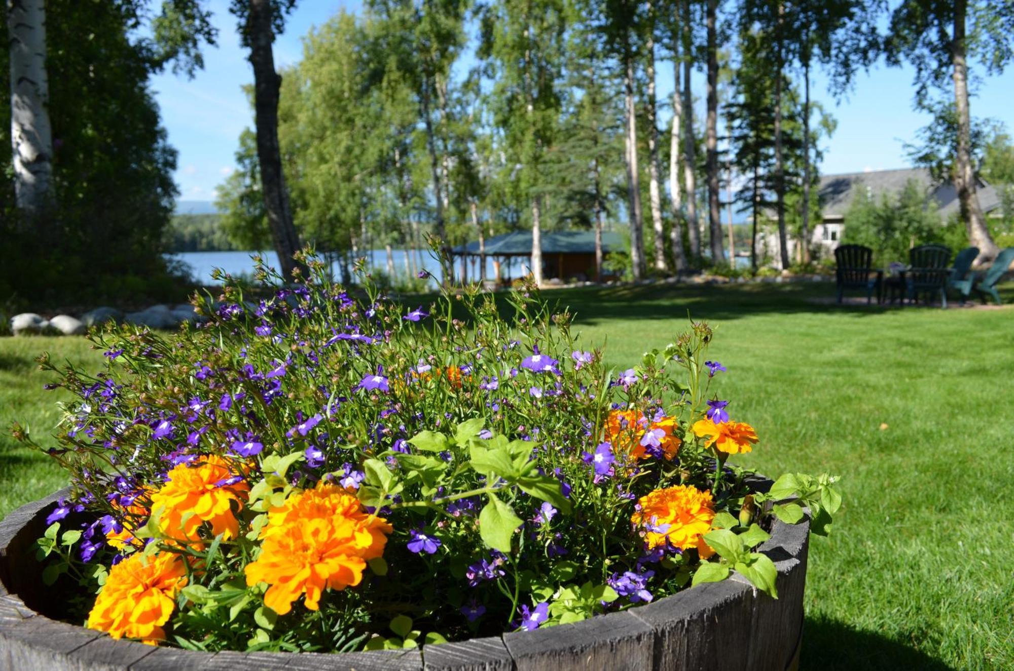 Alaska'S Lake Lucille Bed & Breakfast Bed & Breakfast Wasilla Bagian luar foto